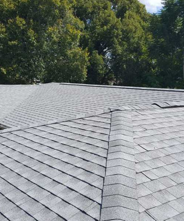 Black shingle roof